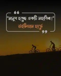 মানুষ নিয়ে উক্তি- উইলিয়াম হার্ভে