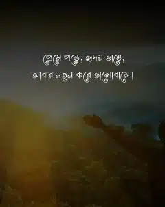 মানুষ নিয়ে স্ট্যাটাস প্রেমে পড়ে হৃদয় ভাঙে 1