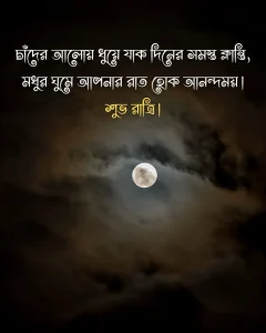শুভ রাত্রি ক্যাপশন - চাঁদের আলোয় ধুয়ে যাক দিনের সমস্ত ক্লান্তি,