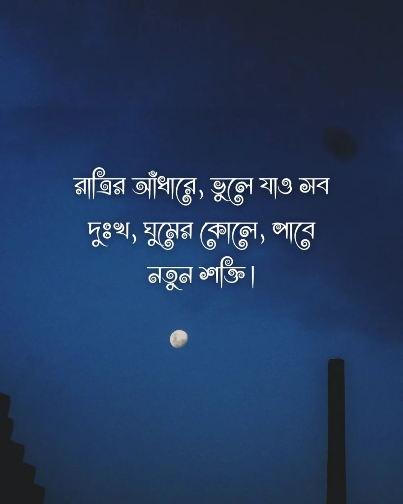 শুভ রাত্রি নিয়ে উক্তি - রাত্রির আঁধারে, ভুলে যাও সব দুঃখ
