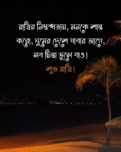 শুভ রাত্রি নিয়ে উক্তি -রাত্রির নিস্তব্ধতায়, মনকে শান্ত করো