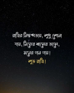 শুভ রাত্রি নিয়ে উক্তি - রাত্রির নিস্তব্ধতায়, শুধু শোনা যায়