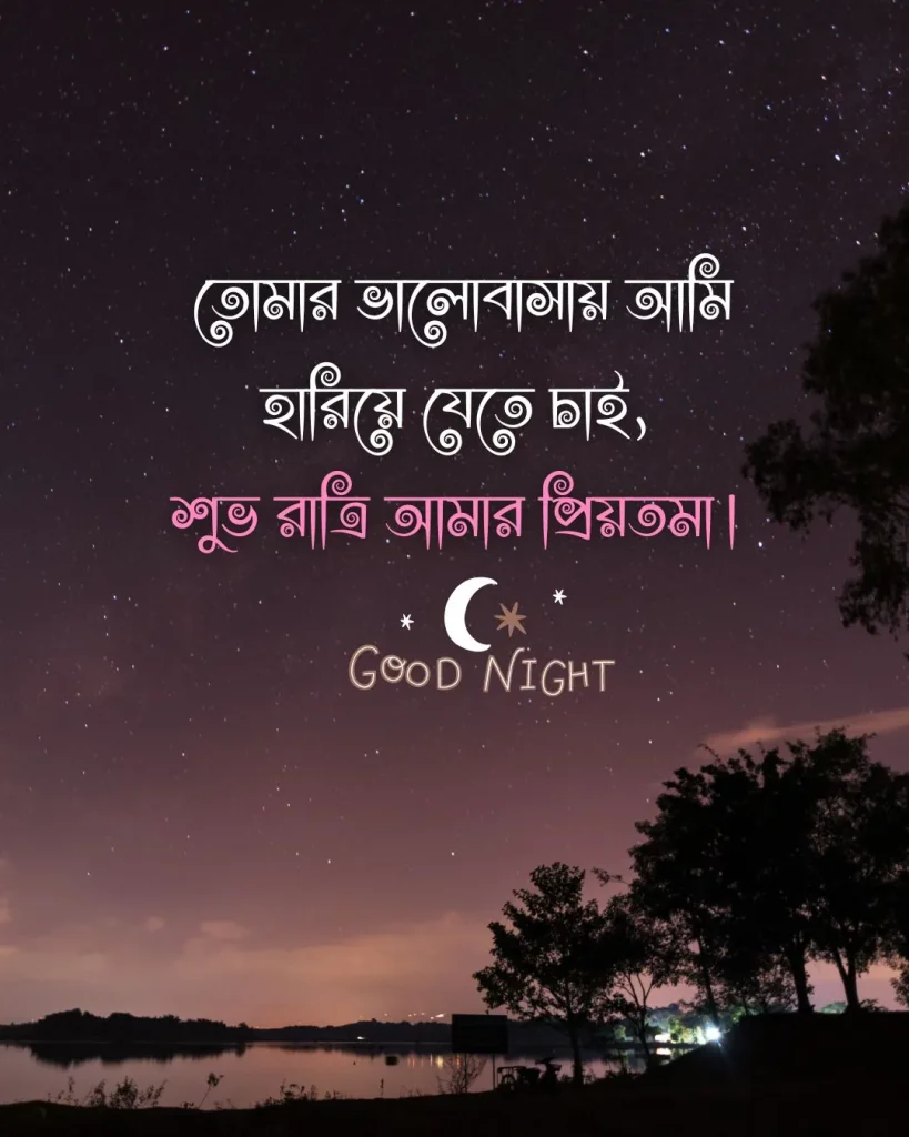 শুভ রাত্রি রোমান্টিক মেসেজ - তোমার ভালোবাসায় আমি হারিয়ে যেতে চাই