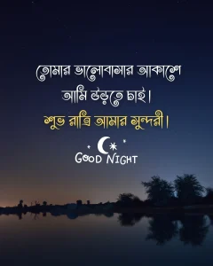 শুভ রাত্রি রোমান্টিক মেসেজ - তোমার ভালোবাসার আকাশে আমি উড়তে চাই শুভ রাত্রি (1)