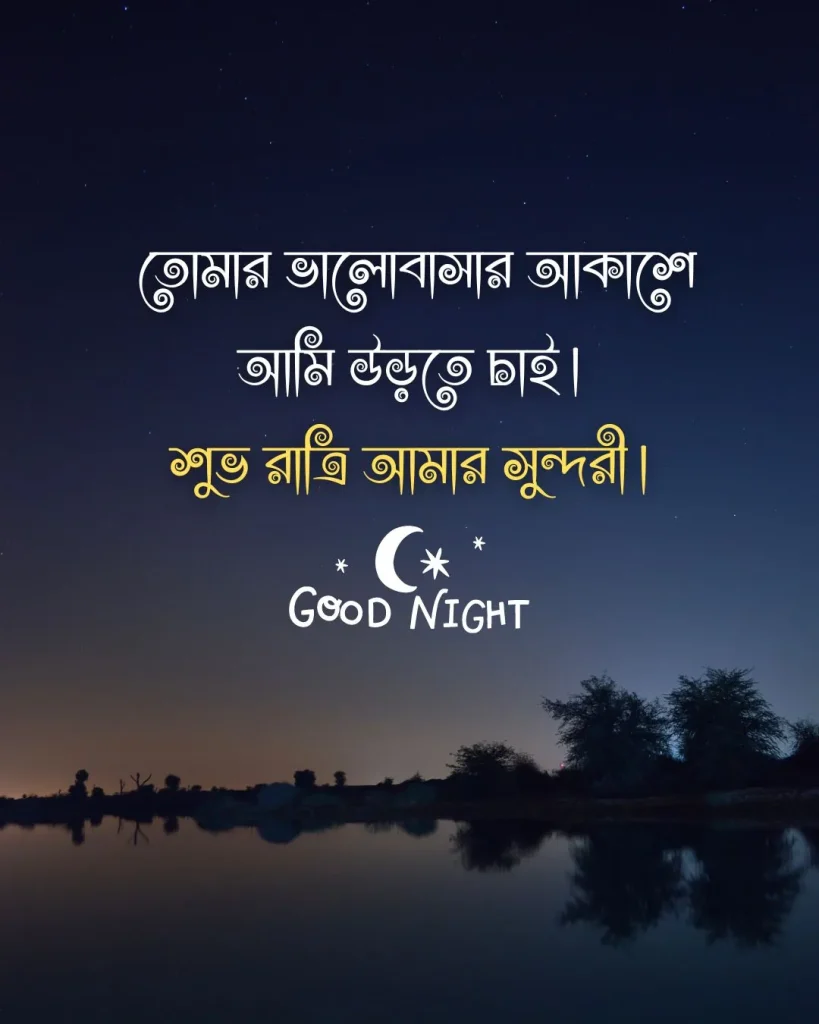 শুভ রাত্রি রোমান্টিক মেসেজ - তোমার ভালোবাসার আকাশে আমি উড়তে চাই শুভ রাত্রি (1)