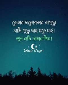 শুভ রাত্রি রোমান্টিক মেসেজ - তোমার ভালোবাসার আগুনে আমি পুড়ে ছাই