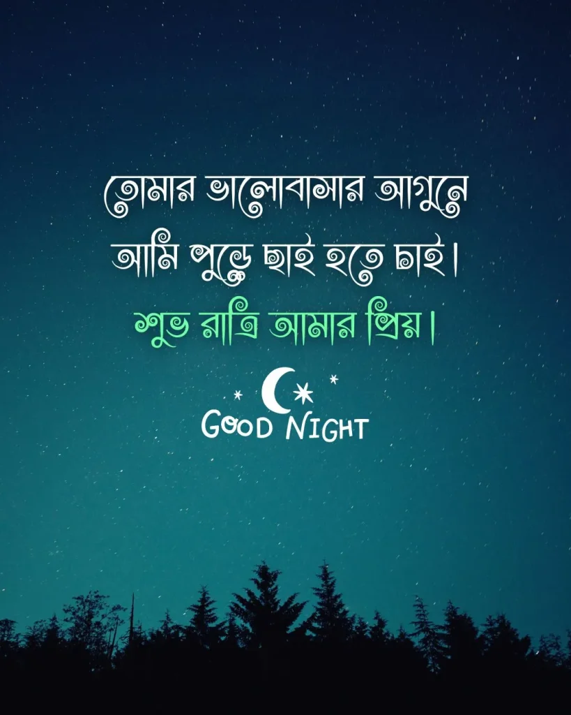 শুভ রাত্রি রোমান্টিক মেসেজ - তোমার ভালোবাসার আগুনে আমি পুড়ে ছাই