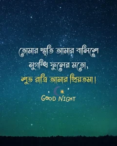 শুভ রাত্রি রোমান্টিক মেসেজ - তোমার স্মৃতি আমার বালিশে সুগন্ধি ফুলের মতো