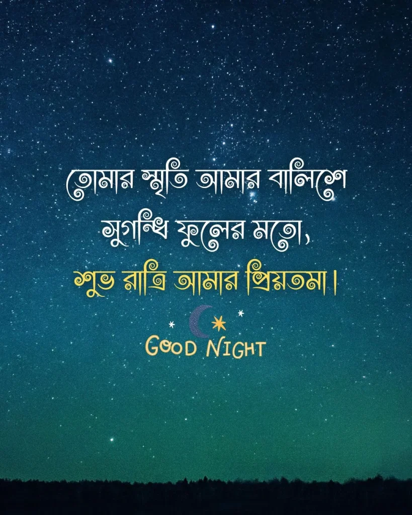 শুভ রাত্রি রোমান্টিক মেসেজ - তোমার স্মৃতি আমার বালিশে সুগন্ধি ফুলের মতো
