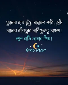 শুভ রাত্রি রোমান্টিক মেসেজ - তোমার হাত ছুঁয়ে অনুভব করি