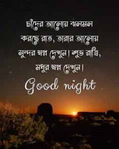 শুভ রাত্রি স্ট্যাটাস - চাঁদের আলোয় ঝলমল করছে রাত, তারার আলোয় সুন্দর স্বপ্ন দেখুন শুভ রাত্রি