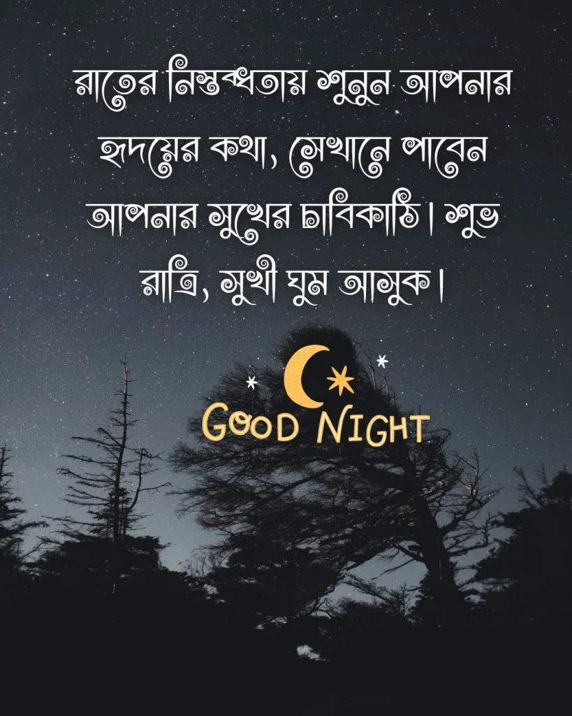 শুভ রাত্রি স্ট্যাটাস - রাতের নিস্তব্ধতায় শুনুন আপনার হৃদয়ের কথা