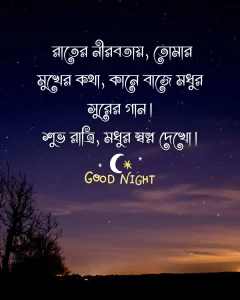 সুন্দর শুভ রাত্রি - রাতের নীরবতায়, তোমার মুখের কথা