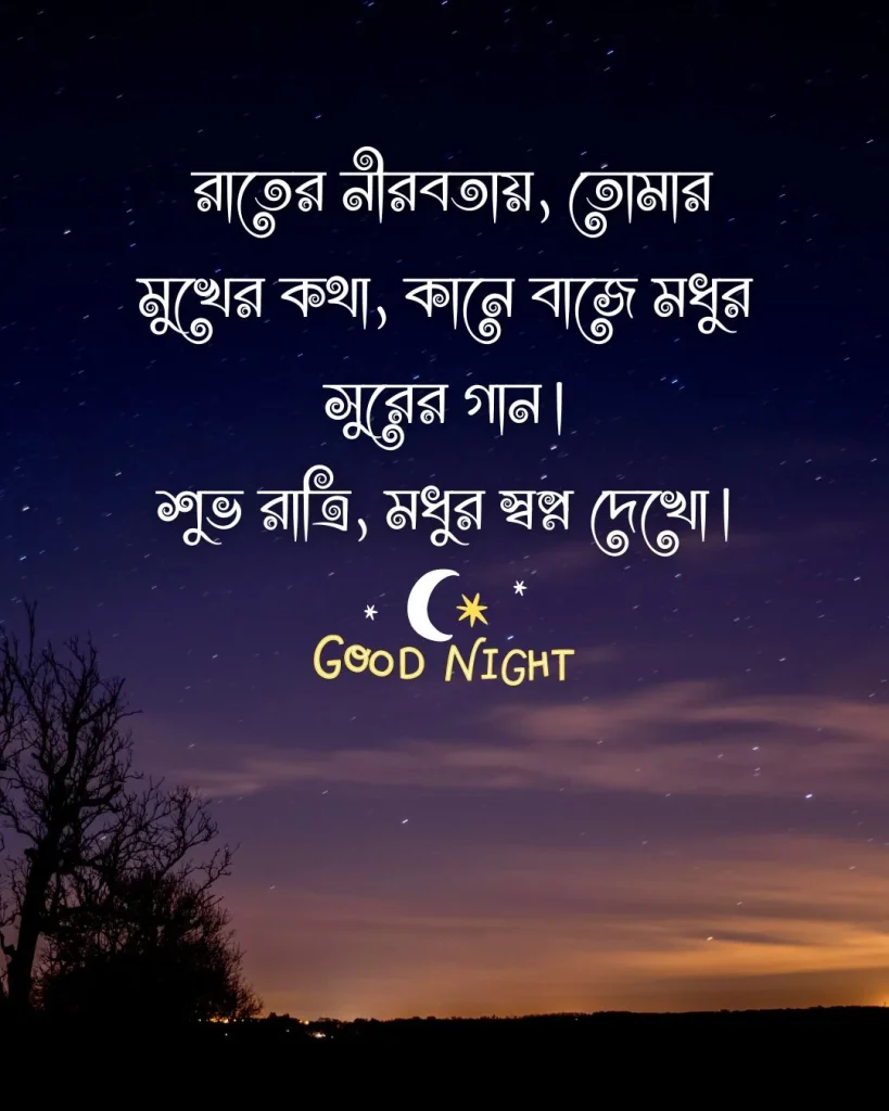 সুন্দর শুভ রাত্রি - রাতের নীরবতায়, তোমার মুখের কথা