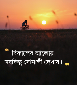 পরন্ত বিকেল নিয়ে উক্তি