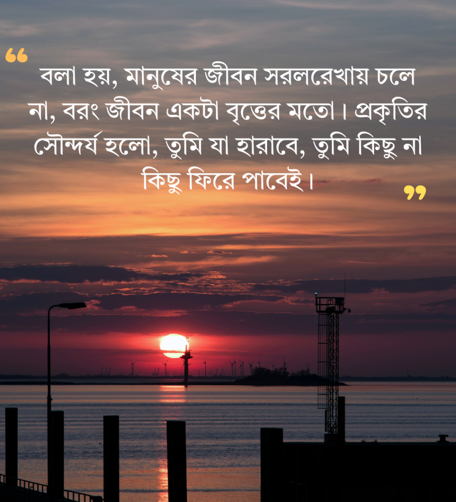 শেষ বিকেলের সূর্য নিয়ে ক্যাপশন