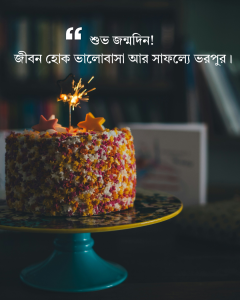 বড় ভাইয়ের জন্মদিনের শুভেচ্ছা স্ট্যাটাস