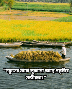 গ্রামের সবুজ প্রকৃতি নিয়ে ক্যাপশন