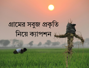 গ্রামের সবুজ প্রকৃতি নিয়ে ক্যাপশন ২০২৫