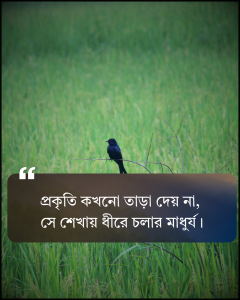 প্রকৃতি নিয়ে ক্যাপশন