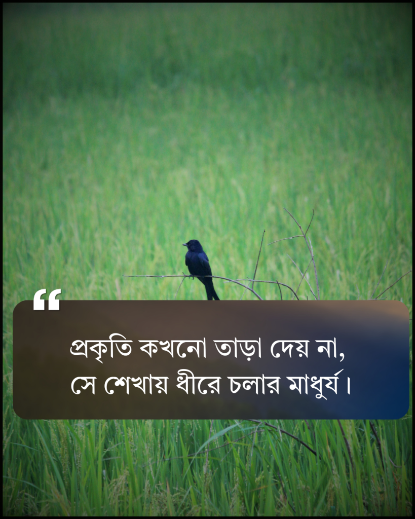প্রকৃতি নিয়ে ক্যাপশন