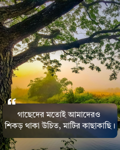 প্রকৃতি নিয়ে ক্যাপশন বাংলা