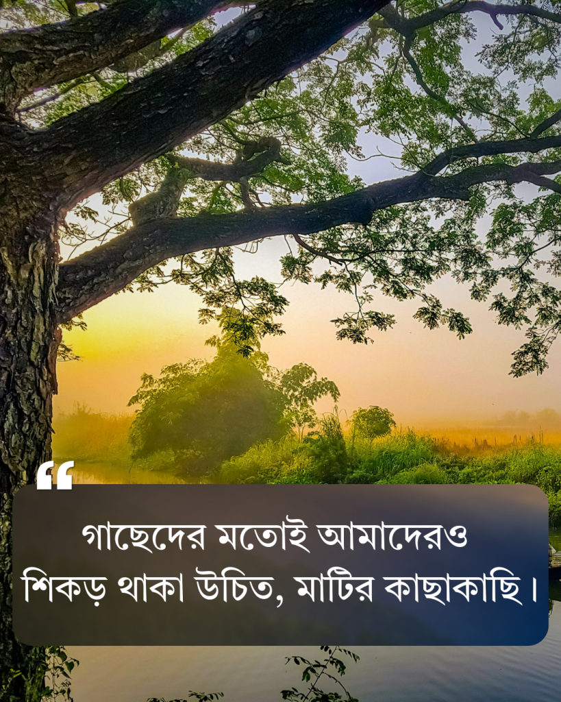 প্রকৃতি নিয়ে ক্যাপশন বাংলা