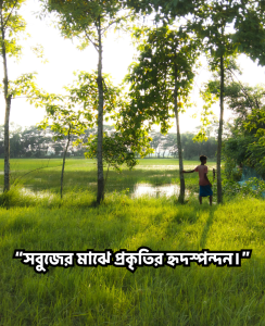 সবুজ প্রকৃতি নিয়ে উক্তি