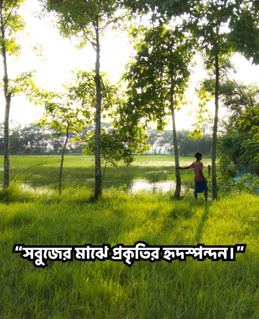 সবুজ প্রকৃতি নিয়ে উক্তি