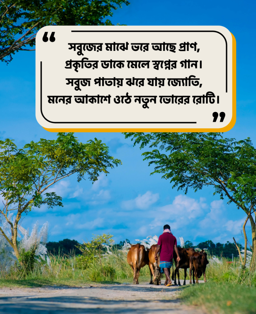 সবুজ প্রকৃতি নিয়ে কবিতা