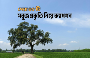 সবুজ প্রকৃতি নিয়ে ক্যাপশন