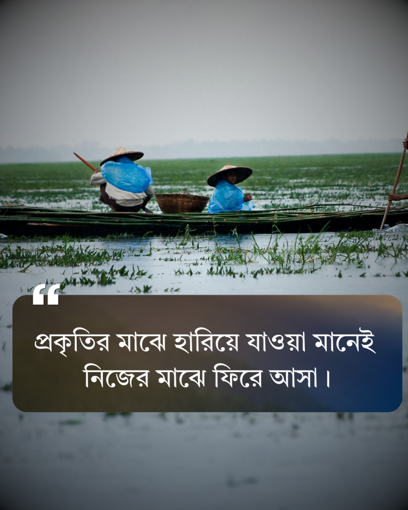 সবুজ প্রকৃতি নিয়ে ক্যাপশন