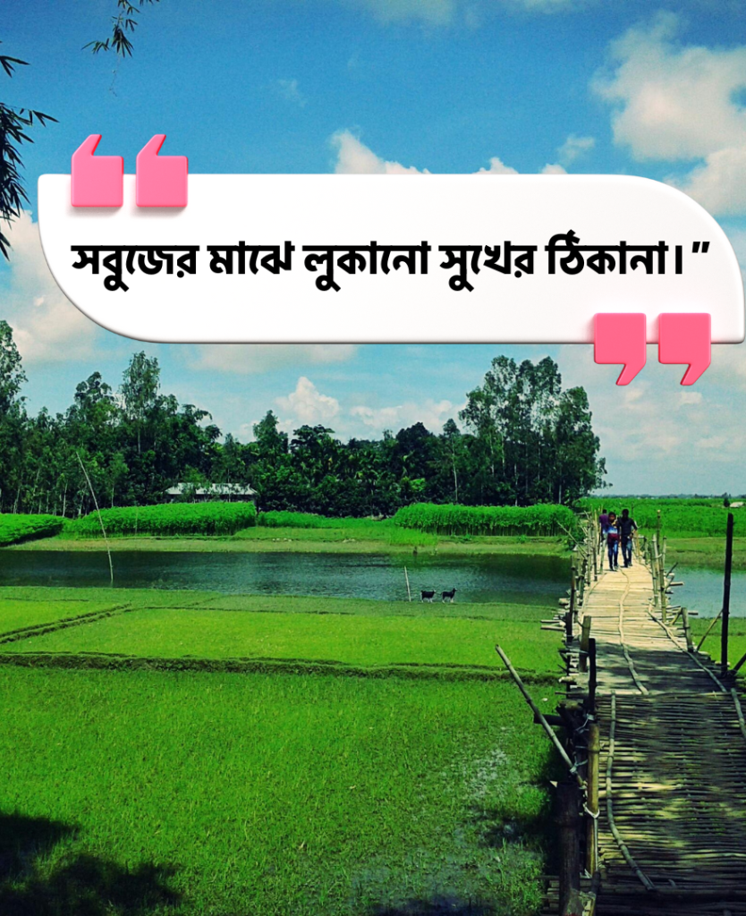 সবুজ প্রকৃতি নিয়ে ক্যাপশন বাংলা