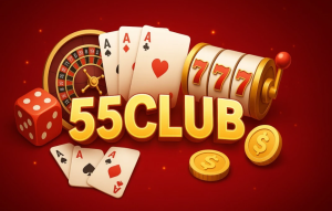 Troubleshooting Guide for 55 Club Users