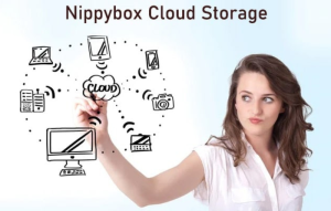 NippyBox: Secure, Fast, and User-Friendly Cloud Storage
