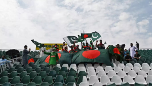 What is Weon Cricket?