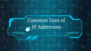 Common Uses of IP Addresses Image.png