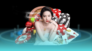 The program's standard operating principle