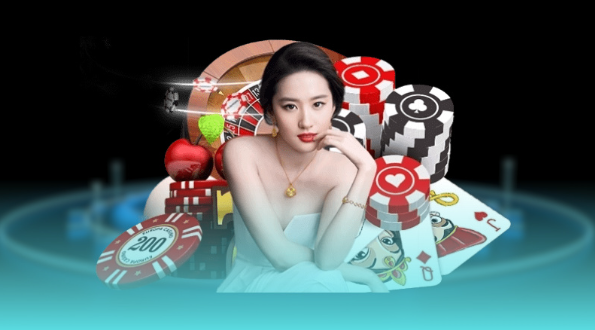 The program's standard operating principle