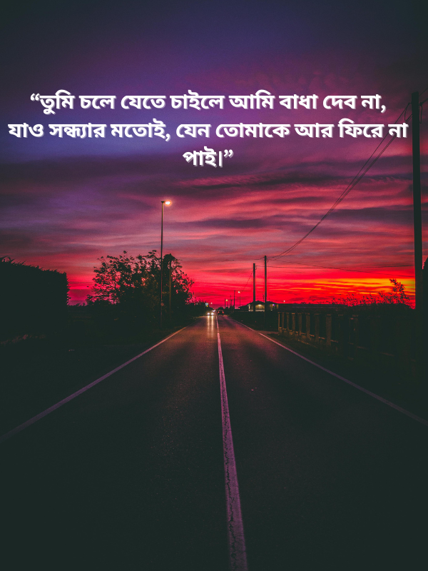 তুমি চলে যেতে চাইলে আমি বাধা দেব না, যাও সন্ধ্যার মতোই, যেন তোমাকে আর ফিরে না পাই।.png