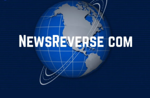 Newsreverse com: What It Is, How It Works and Whether You Should Trust It