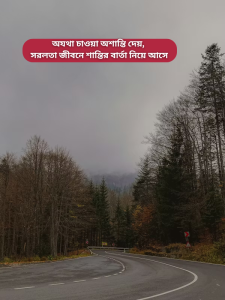 অযথা চাওয়া অশান্তি দেয়, সরলতা জীবনে শান্তির বার্তা নিয়ে আসে.png