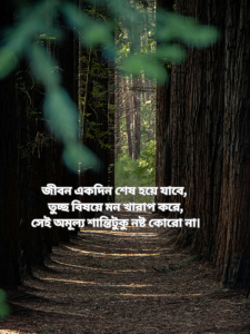 জীবন একদিন শেষ হয়ে যাবে তুচ্ছ বিষয়ে মন খারাপ করে সেই অমূল্য শান্তিটুকু নষ্ট কোরো না