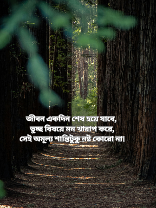 জীবন একদিন শেষ হয়ে যাবে, তুচ্ছ বিষয়ে মন খারাপ করে, সেই অমূল্য শান্তিটুকু নষ্ট কোরো না
