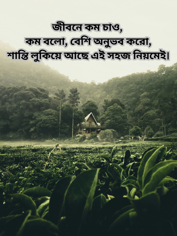 জীবনে কম চাও, কম বলো, বেশি অনুভব করো, শান্তি লুকিয়ে আছে এই সহজ নিয়মেই.png