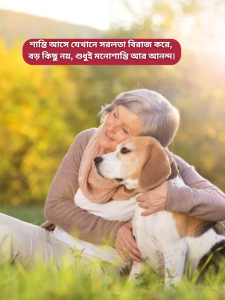 শান্তি আসে যেখানে সরলতা বিরাজ করে বড় কিছু নয় শুধুই মনোশান্তি আর আনন্দ