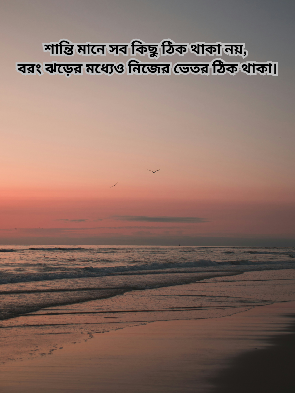 শান্তি মানে সব কিছু ঠিক থাকা নয়, বরং ঝড়ের মধ্যেও নিজের ভেতর ঠিক থাকা.png