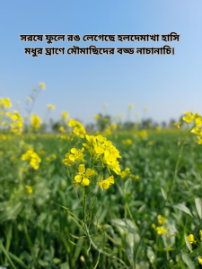 সরষে ফুলে রঙ লেগেছে হলদেমাখা হাসি মধুর ঘ্রাণে মৌমাছিদের বড্ড নাচানাচি।.png