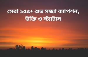 সেরা ২০০+ কাশফুল নিয়ে ক্যাপশন, স্ট্যাটাস ও উক্তি ২০২৬.png