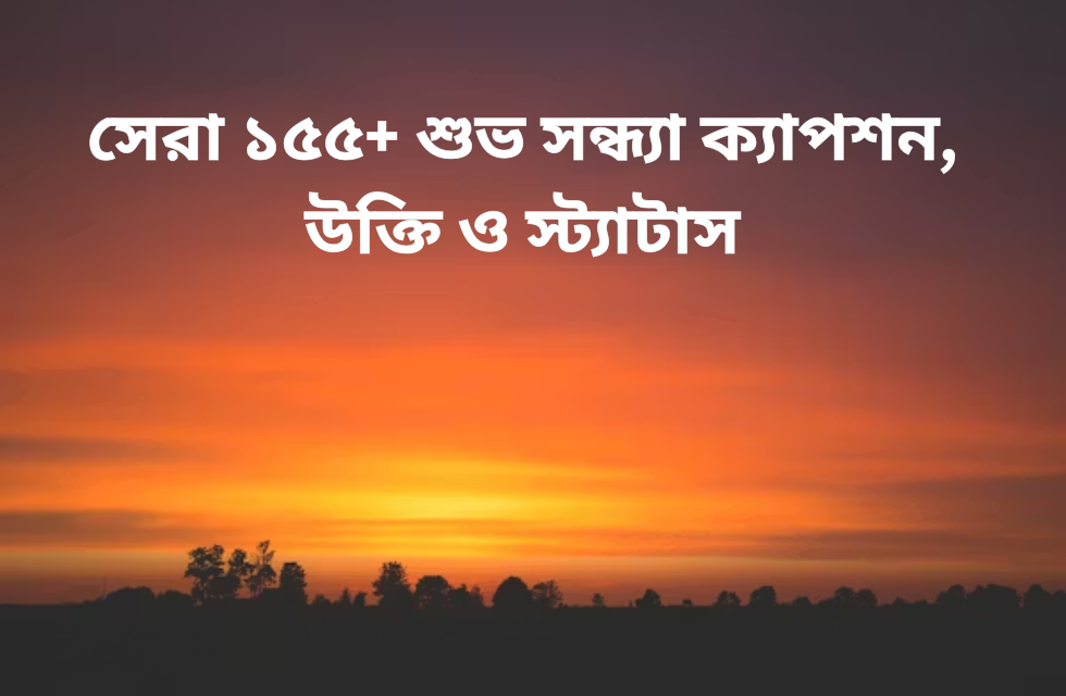 সেরা ১৫৫+ শুভ সন্ধ্যা ক্যাপশন, উক্তি ও স্ট্যাটাস সেরা ২০০+ কাশফুল নিয়ে ক্যাপশন, স্ট্যাটাস ও উক্তি ২০২৬.png